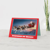 Grappige Beagle Kerstvakantie