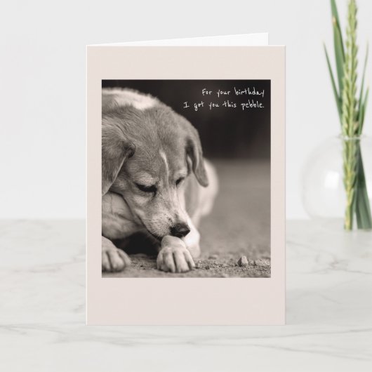 Grappige beagle verjaardagskaart kaart (Voorkant)