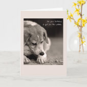 Grappige beagle verjaardagskaart kaart (Gele Bloem)