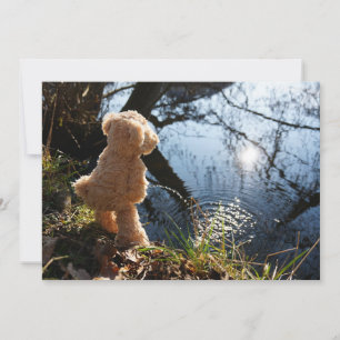 Grappige beer die ondeugend plast. feestdagenkaart