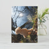 Grappige beer die ondeugend plast. feestdagenkaart (Staand voorkant)