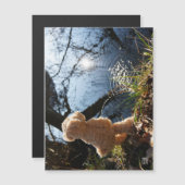 Grappige beer die ondeugend plast. magnetische uitnodiging (Voorkant / Achterkant)