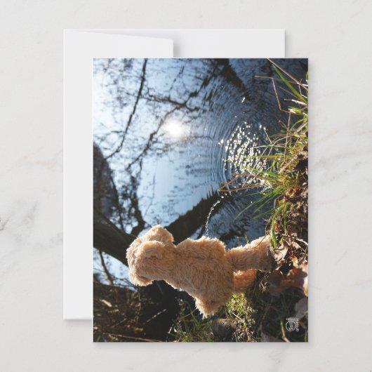 Grappige beer die ondeugend plast. magnetische uitnodiging (Voorkant)