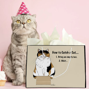 Grappige Beige Schotse Kat Doos Humor Gevangen Groot Cadeauzakje