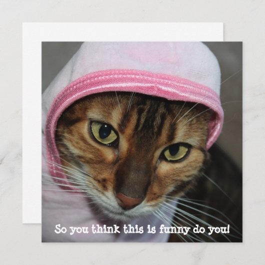 Grappige Bengaalse kat, "Dus je denkt dat dit grap Feestdagenkaart (Voorkant / Achterkant)