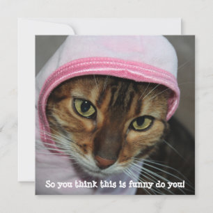 Grappige Bengaalse kat, "Dus je denkt dat dit grap Feestdagenkaart