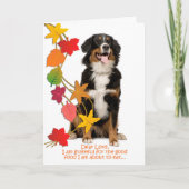 Grappige Berner Mt. Hond Thanksgiving Kaart (Voorkant)