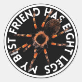 Grappige beste vriend Tarantula Ronde Sticker (Voorkant)