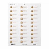 Grappige Big Oranje Cat Retour Adreslabels Etiket (Full Sheet)