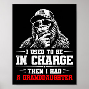 Grappige bigfoot was vroeger de baas had poster