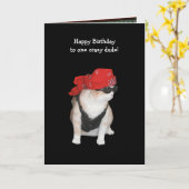 Grappige Biker Cat Verjaardag van Conservatieven Kaart (Gele Bloem)