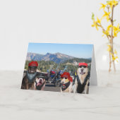 Grappige Biker Honden op een Berg Verjaardag Kaart (Gele Bloem)