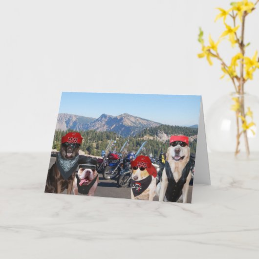 Grappige Biker Honden op een Berg Verjaardag Kaart (Gele Bloem)