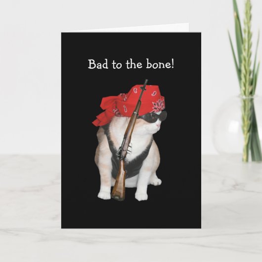 Grappige biker/non-conformistische kat verjaardag kaart (Voorkant)