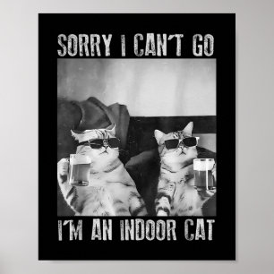 Grappige binnenkat meme sorry dat ik niet naar ret poster