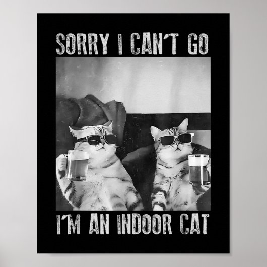 Grappige binnenkat meme sorry dat ik niet naar ret poster (Voorkant)