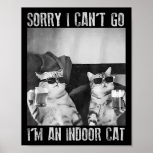 Grappige binnenkat meme sorry dat ik niet naar ret poster