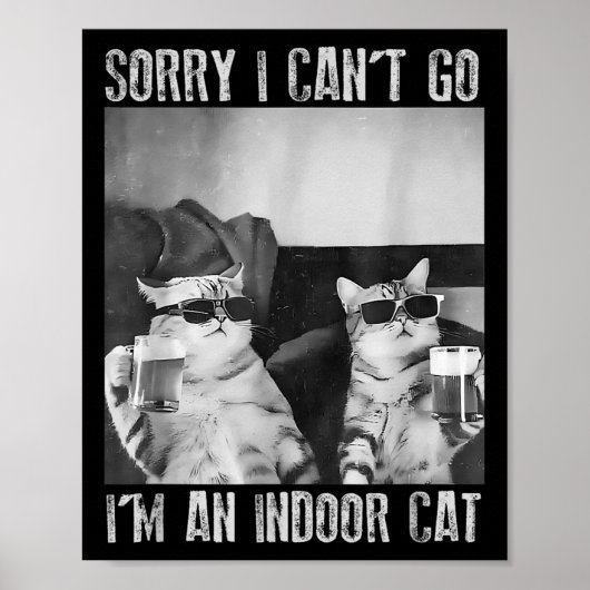 Grappige binnenkat meme sorry dat ik niet naar ret poster (Voorkant)