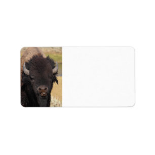 grappige bizon etiket