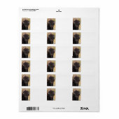grappige bizon etiket (Full Sheet)