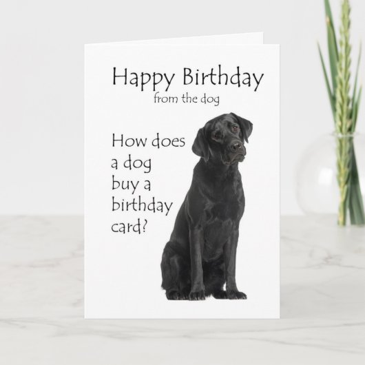 Grappige Black Lab Verjaardag Humor Kaart (Voorkant)