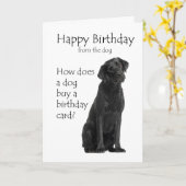 Grappige Black Lab Verjaardag Humor Kaart (Gele Bloem)