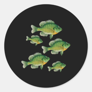 Grappige Bluegill Zonvis Vissen Zoetwatervis Ang Ronde Sticker