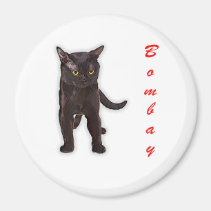 Grappige Bombay kat Japan cadeau voor papa mam bro Magneet