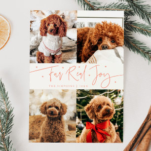 Grappige bont echte vreugde hond foto perzik kerst feestdagenkaart