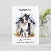 Grappige Border Collie Hond Bewegende aankondiging (Staand voorkant)