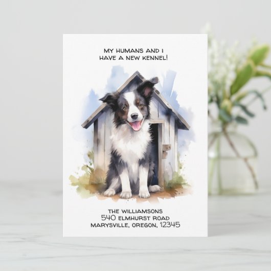 Grappige Border Collie Hond Bewegende aankondiging (Staand voorkant)