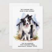 Grappige Border Collie Hond Bewegende aankondiging (Voorkant / Achterkant)