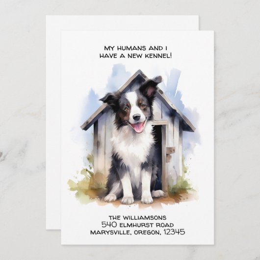 Grappige Border Collie Hond Bewegende aankondiging (Voorkant / Achterkant)