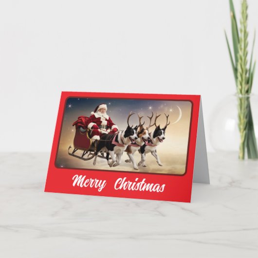 Grappige Border Collie Kerst Vakantie Kaart (Voorkant)
