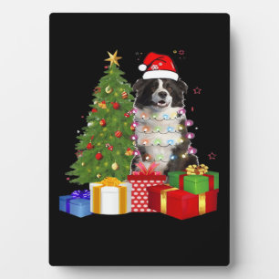 Grappige Border Collie Kerstboom Prettig Kerstfees Fotoplaat