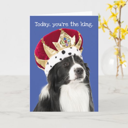 Grappige Border Collie met kroon Vaderdag kaart (Gele Bloem)