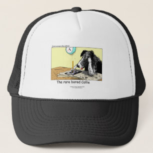 Grappige Border Collie pet