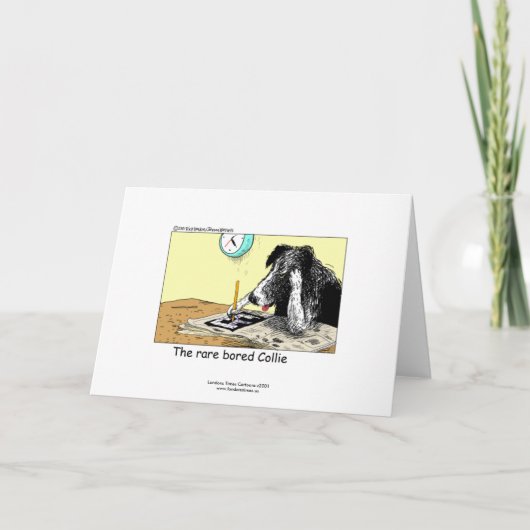 Grappige Border Collie Wenskaart Kaart (Voorkant)