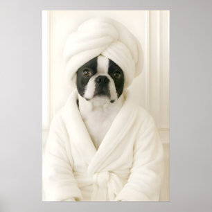Grappige Boston Terrier Badkamer Print, Terrier In Poster