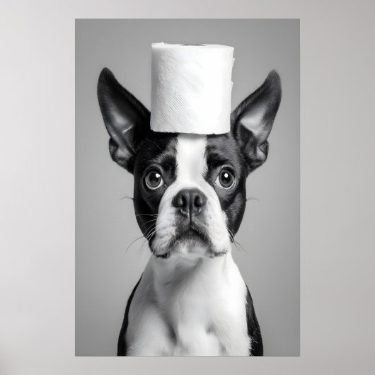 Grappige Boston Terrier Badkamer Print, Toiletpapi Poster (Voorkant)
