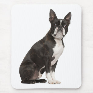 Grappige Boston Terrier Cadeaus voor Liefhebbers v Muismat