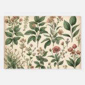 Grappige  botanische bloemenschetsen inpakpapier vel (Voorkant 3)