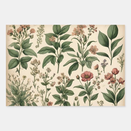 Grappige  botanische bloemenschetsen inpakpapier vel (Voorkant 3)