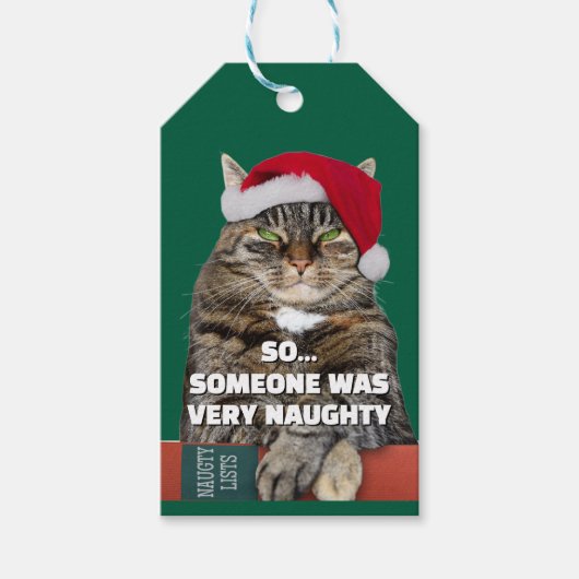 Grappige boze kat Kerstmis  Cadeaulabel (Voorkant)