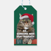 Grappige boze kat Kerstmis  Cadeaulabel (Achterkant)