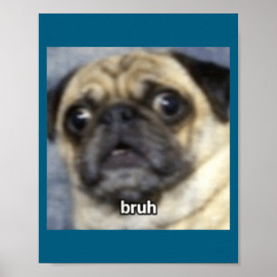 Grappige Bruh Verbaasde Pug Hond Wazig Poster