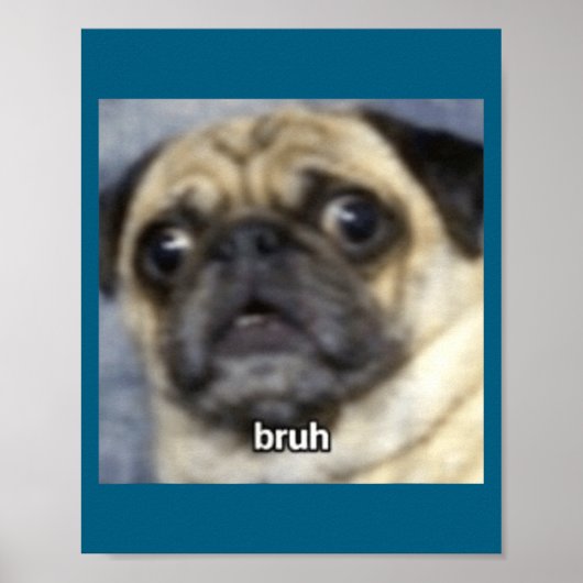 Grappige Bruh Verbaasde Pug Hond Wazig Poster (Voorkant)