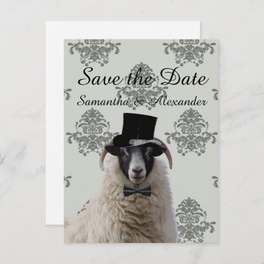 Grappige bruidegom schapen opslaan van de datum aankondigingskaart (Voorkant / Achterkant)