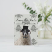 Grappige bruidegom schapen opslaan van de datum aankondigingskaart (Staand voorkant)