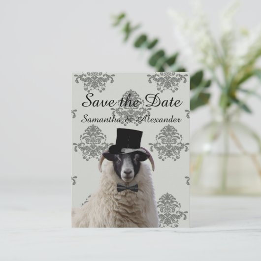 Grappige bruidegom schapen opslaan van de datum aankondigingskaart (Staand voorkant)